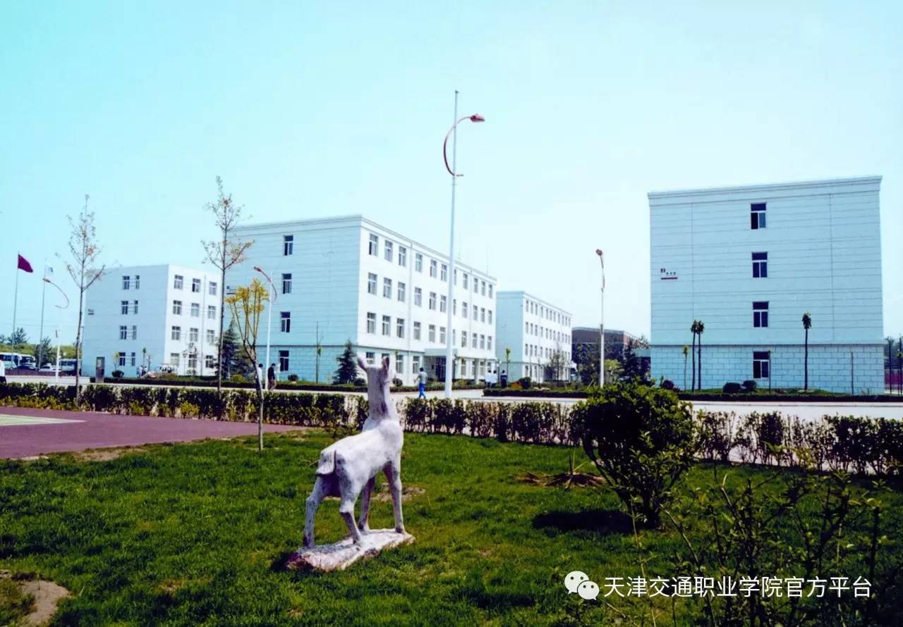 天津交通职业学院 公开招聘