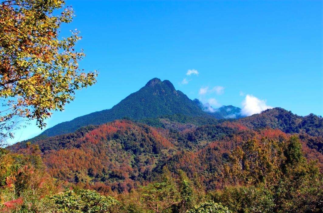 五指山 神山圣水·桃源宝地 五指山地处海南岛中部,峰高7米,为