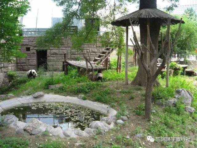 【旅游】北京动物园、海洋馆，世界公园，古北水镇白天+夜景，桃源仙谷一日游开始报名喽！！