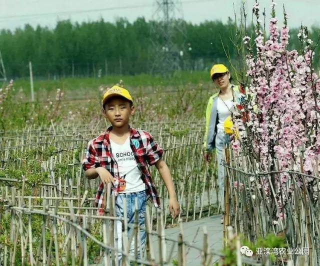 迁安亚滦湾农业公园是您不错