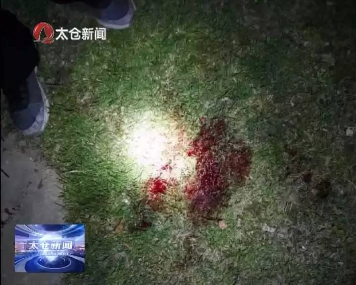 太仓大庆锦绣新城夜间斗殴,一男子被刺身亡