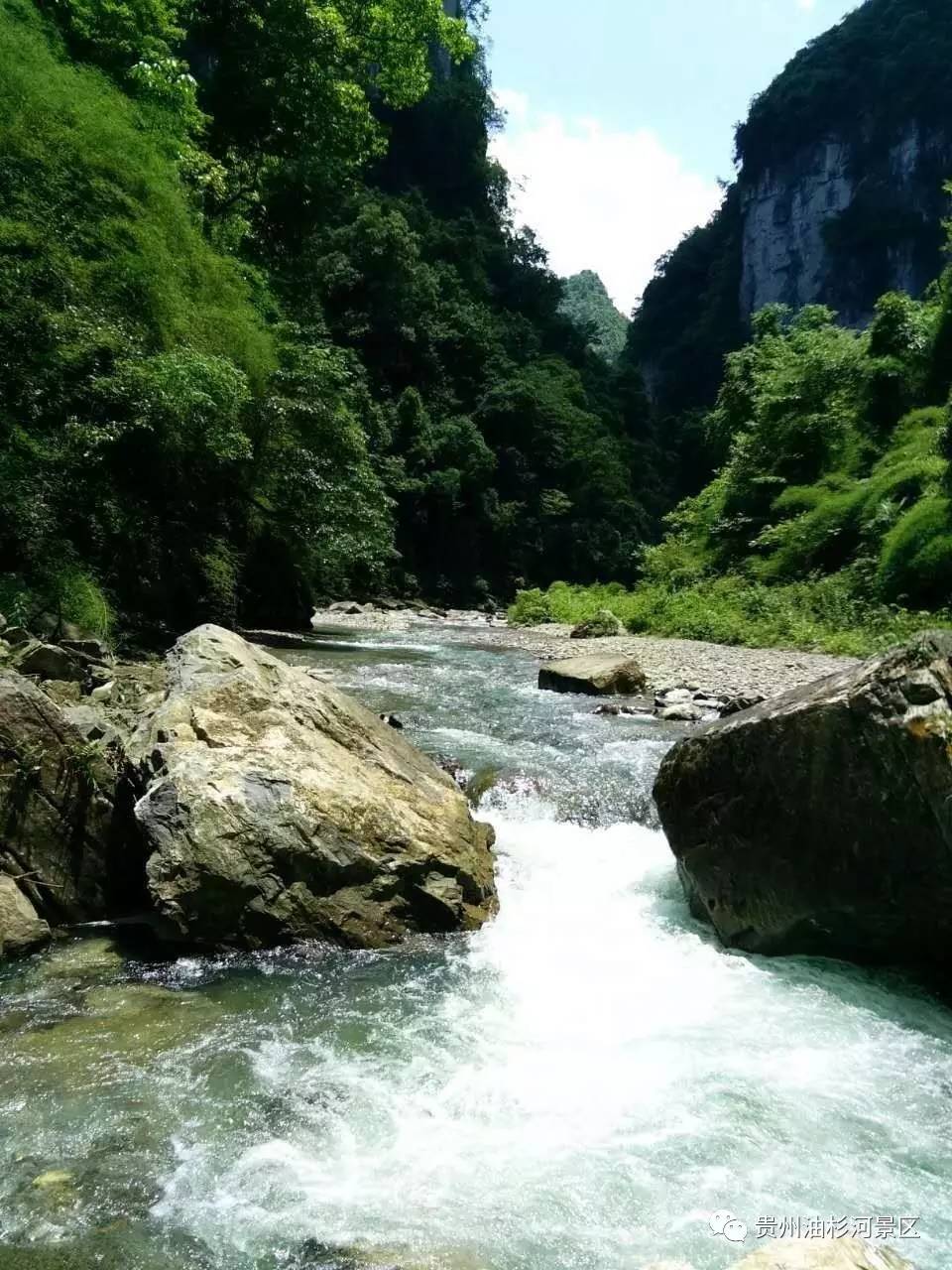 首届贵州"最美河流"评选结果揭晓,油杉河榜上有名