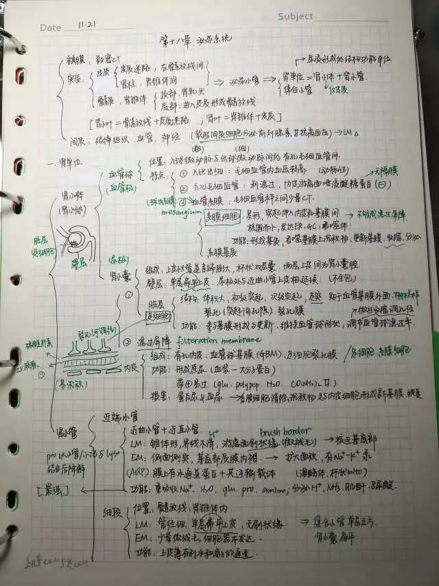 《教育学基础》笔记 全国十二所重点师范大学联合编写