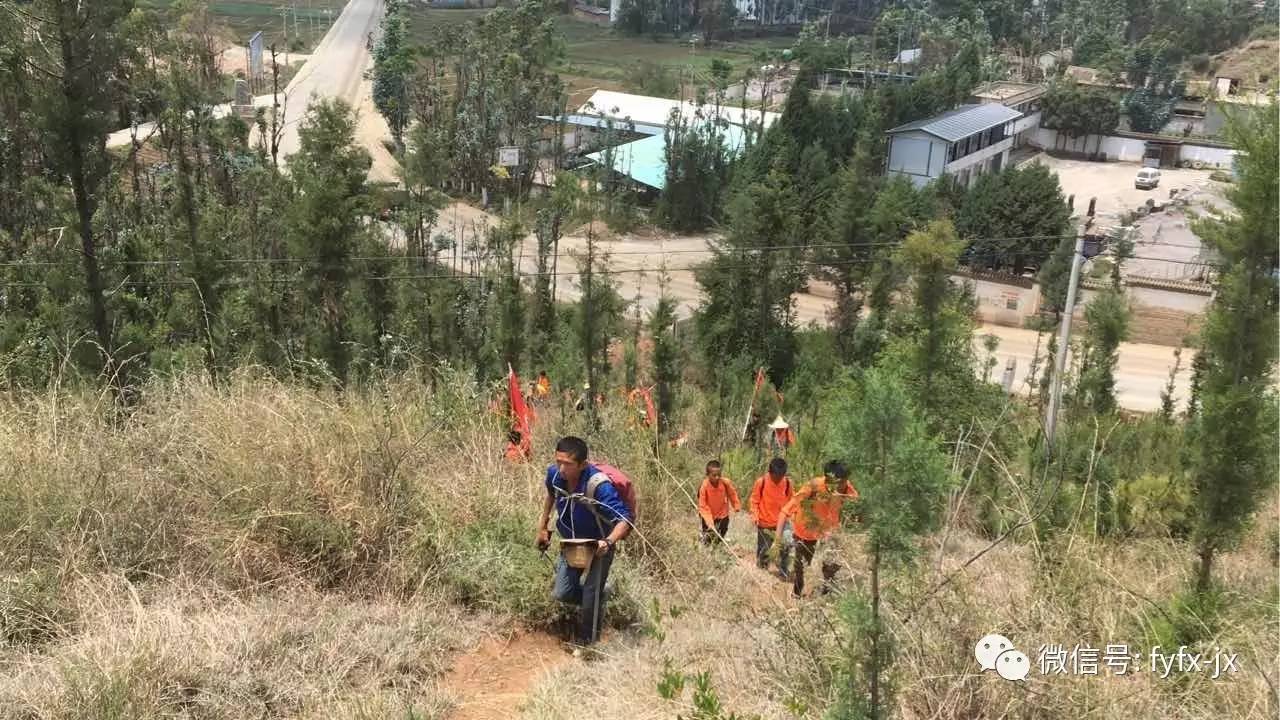 趟过火热的丛莽,从小山脊登上大山顶.