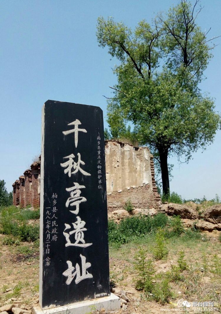 拍邢台|柏乡汉牡丹园·碑廊掠影_搜狐旅游_搜狐网