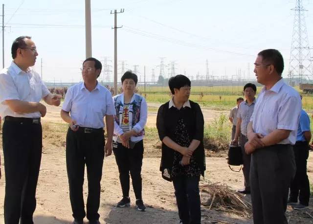 岱岳区委副书记,区长王长勇来大汶口镇现场观摩调度违法建设治理和