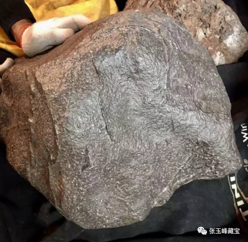 新疆著名陨石收藏家张玉峰先生——陨石收藏大观