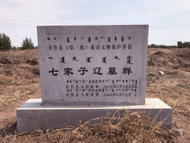 全域旅游丨探路开鲁县东风镇,听说今年要有大动作