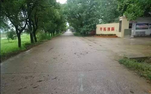 乐平高家镇多少人口_乐平古戏台