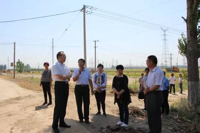 岱岳区委副书记区长王长勇来大汶口镇现场观摩调度违法建设治理和环境