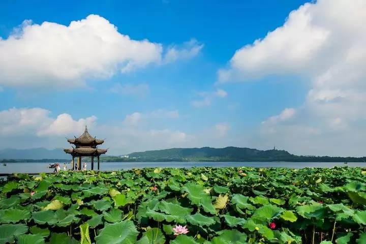 杭州西湖美景.