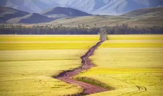 新疆有条800公里的风景长廊，初夏美得过分，步步皆天堂！