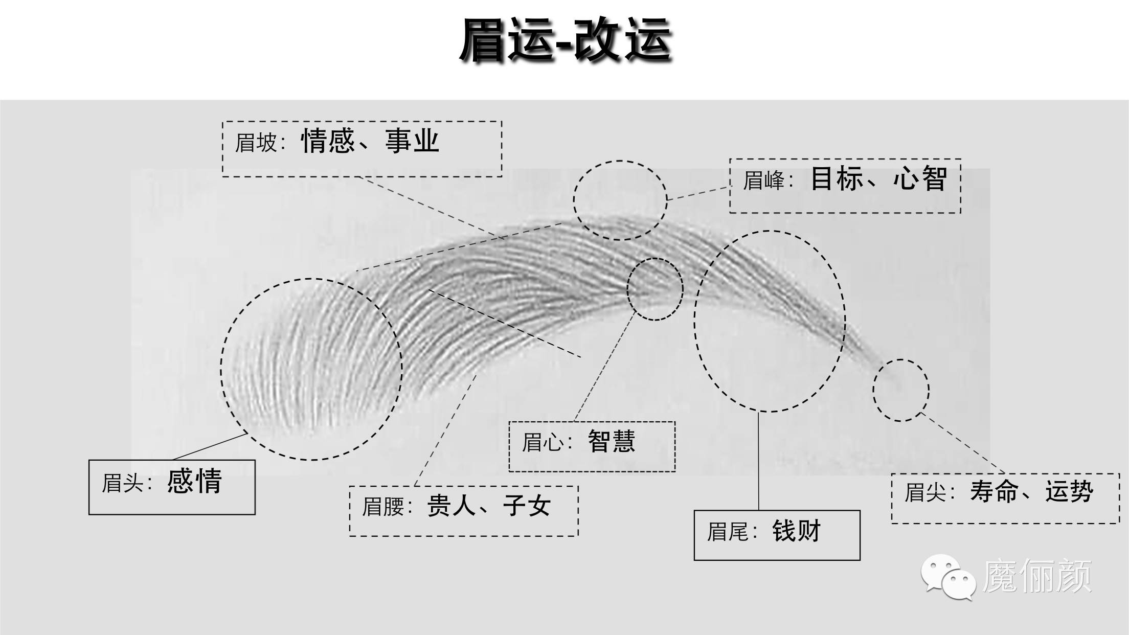 星座 正文 现在很多男士的眉形较松散,眉毛杂乱,更有不少崩眉断眉情况