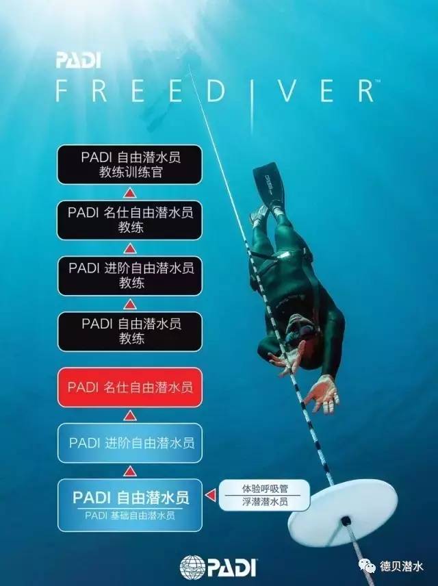 padi自由潜水员课程   继续教育进阶图