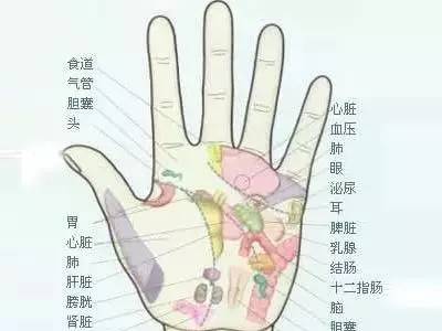 美食 正文  按照中医经络学说,最重要的十二条正经中,与手相关的