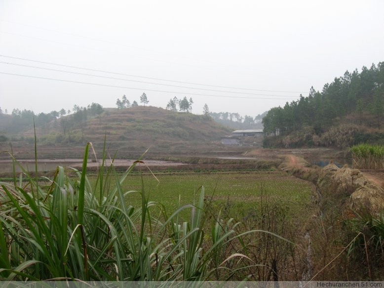 白水镇总人口_祁阳白水镇八庙温泉