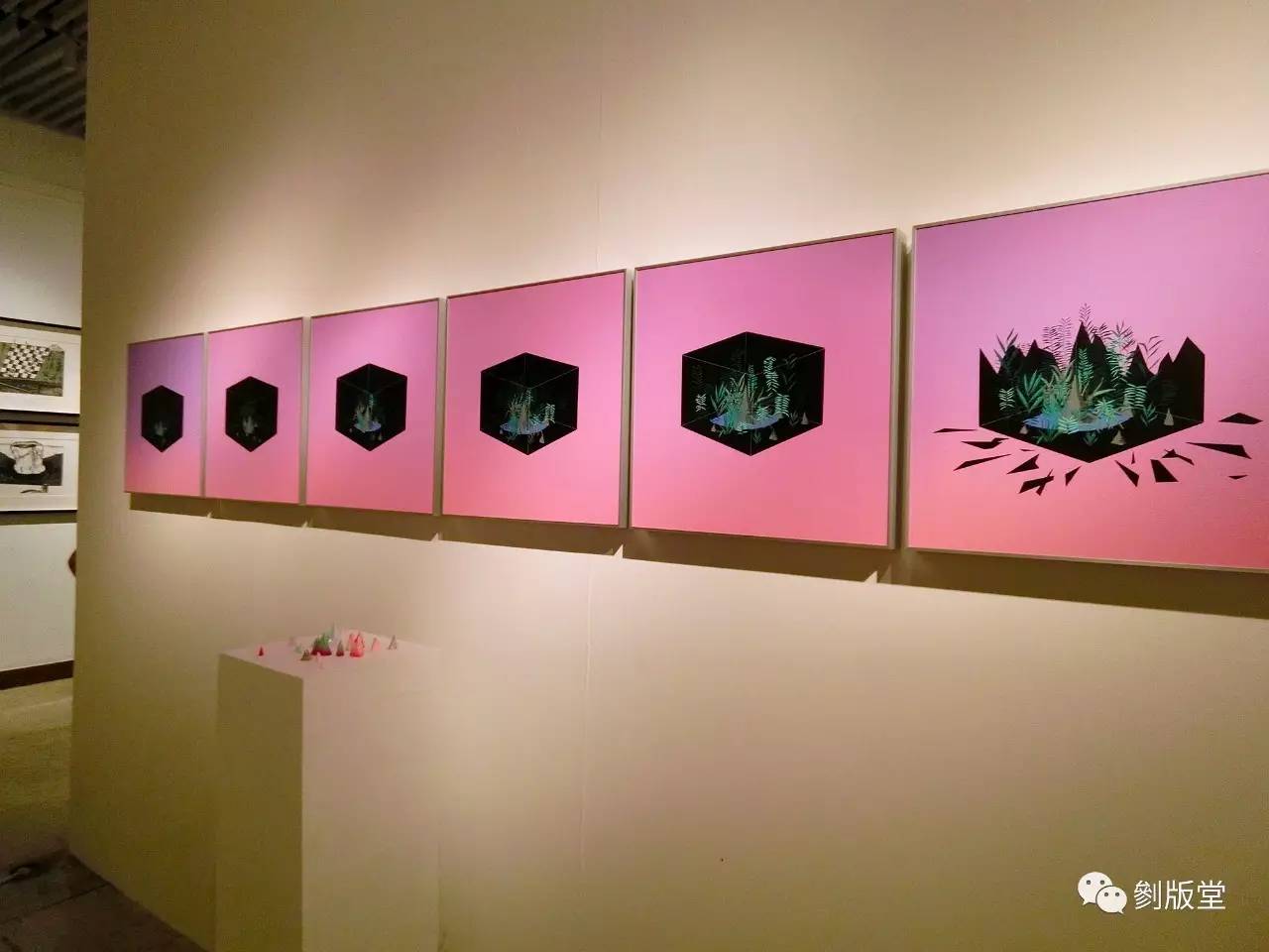 毕业季中国美术学院版画系2017年毕业展