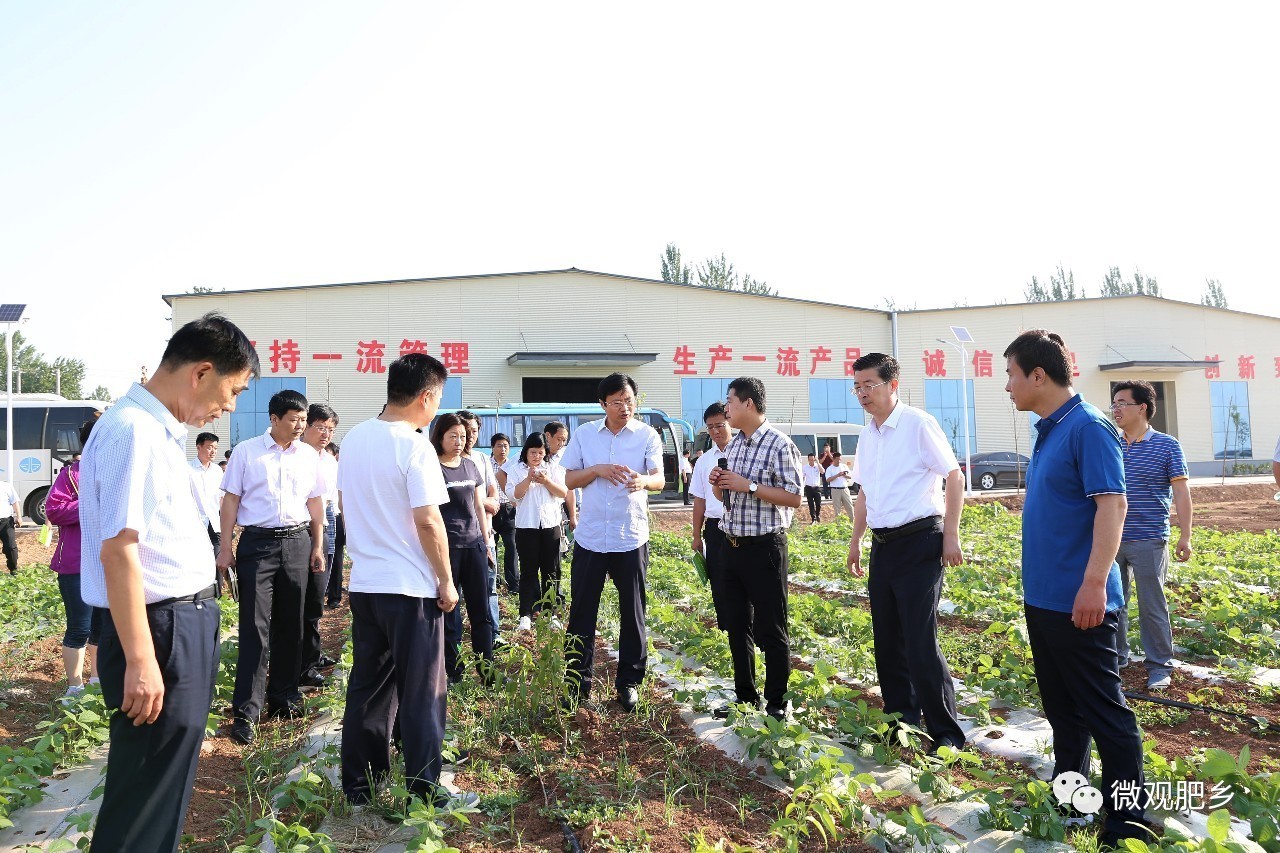 肥乡区这么多干部集中观摩,他们在研究什么事!