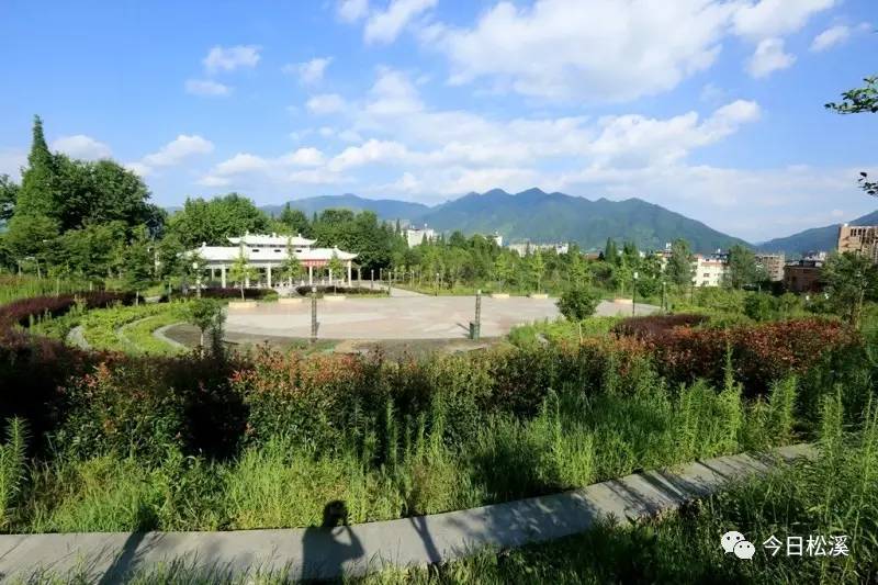 来龙山森林公园为省级森林公园,坐落于来龙山,来龙山又名蹲狮山.