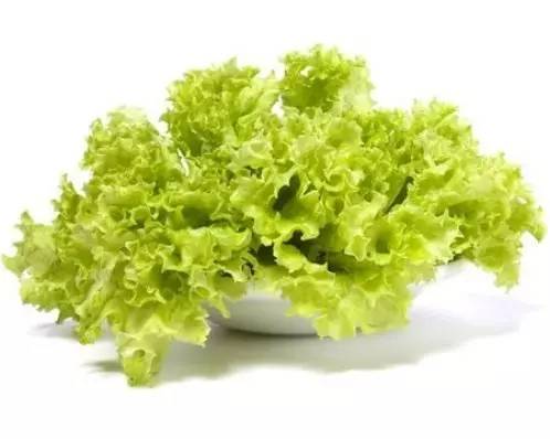 1. lettuce 莴苣