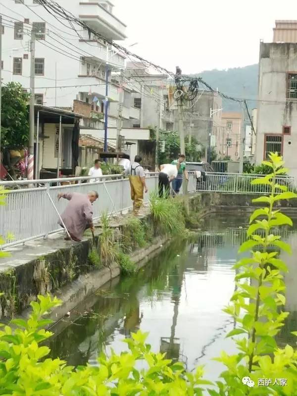 西胪镇青山村,洋文村推进人居环境整治,改善人居环境