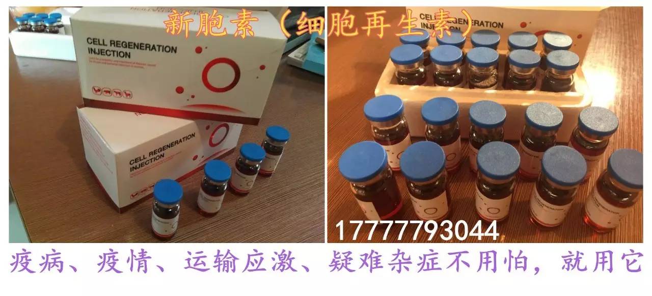 致富经养牛视频_致富经养牛视频_致富经养牛视频