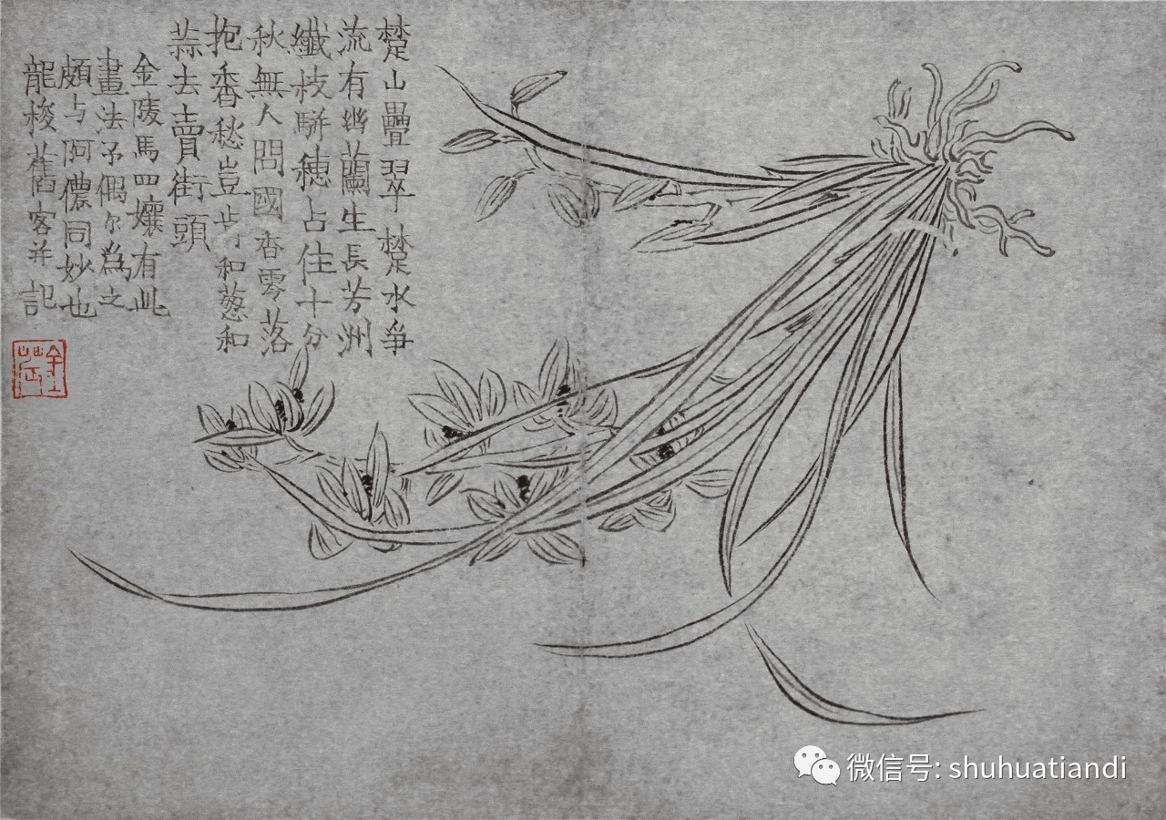 文人与兰花有着不解之缘,一方面兰花作为文学题材入诗入文入画;另