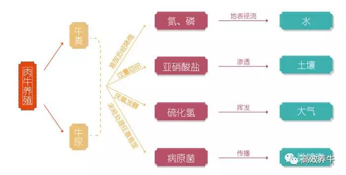 致富经养牛视频_致富经养牛视频_致富经养牛视频