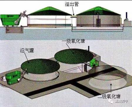 致富经养牛视频_致富经养牛视频_致富经养牛视频