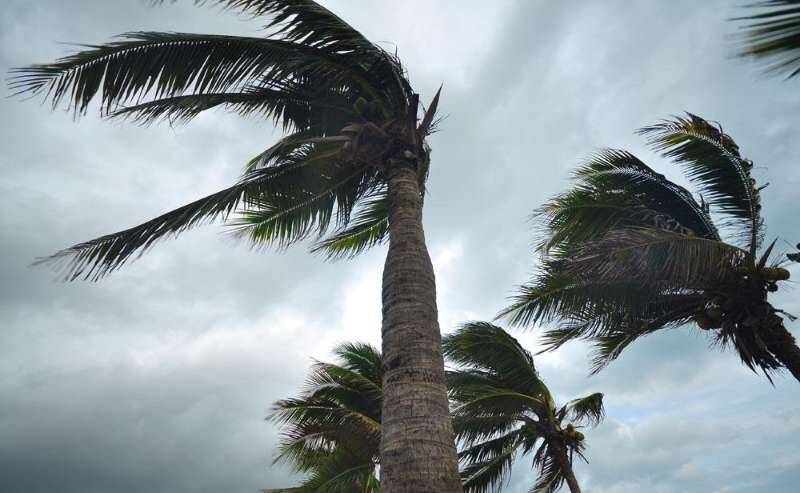 有风的;刮风的 例:it is windy today. 今天风很大.