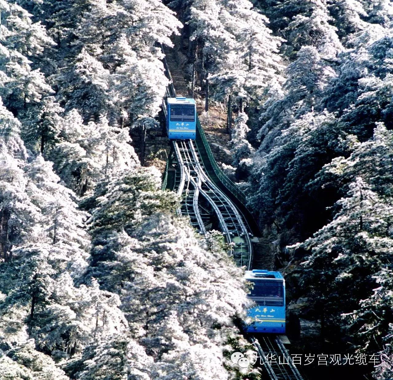 我,来自九华山