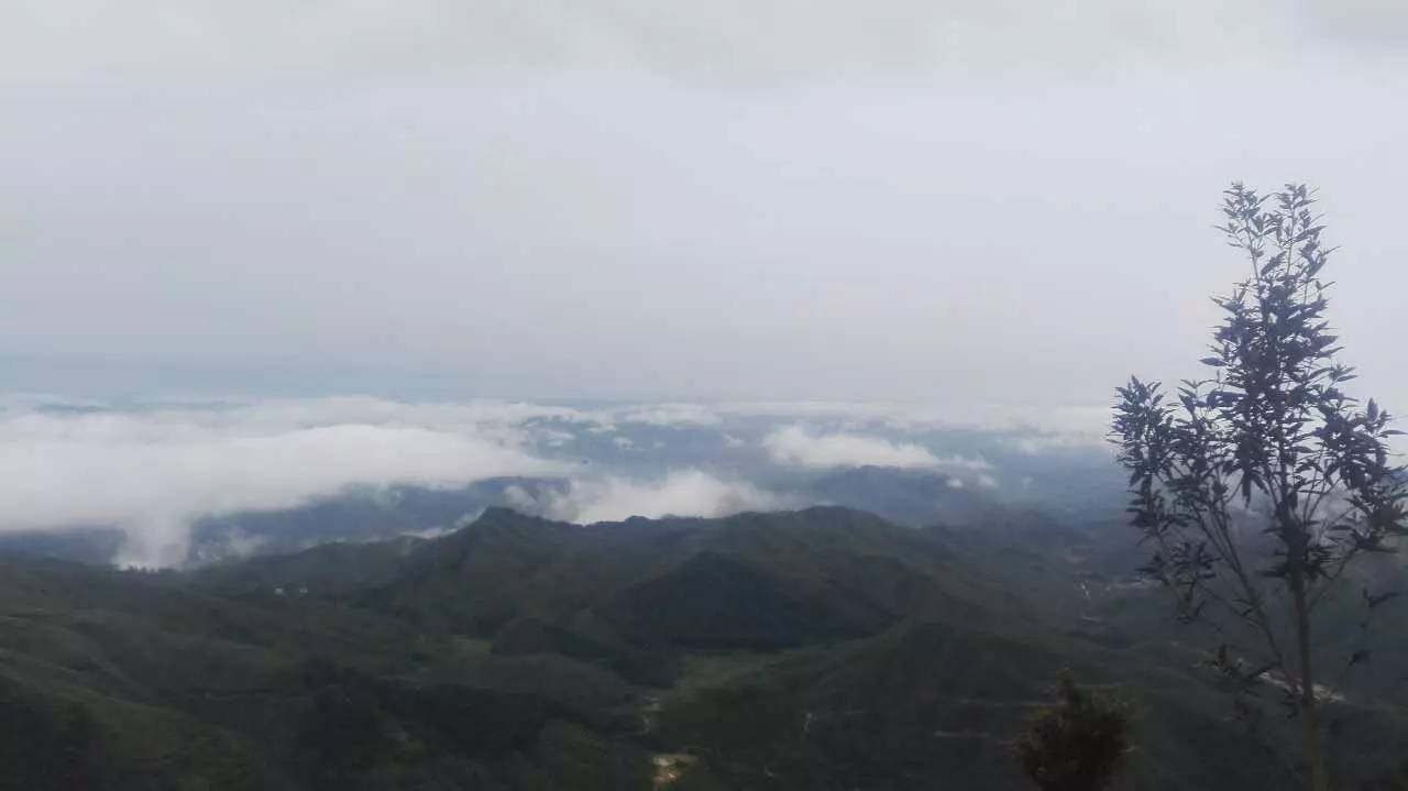 大事件:博白马子岭风电场项目风力发电机吊装,场面壮观