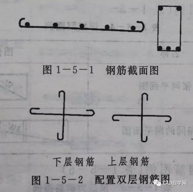 用粗线表示钢筋形状,横向截面的钢筋化成黑圆点.