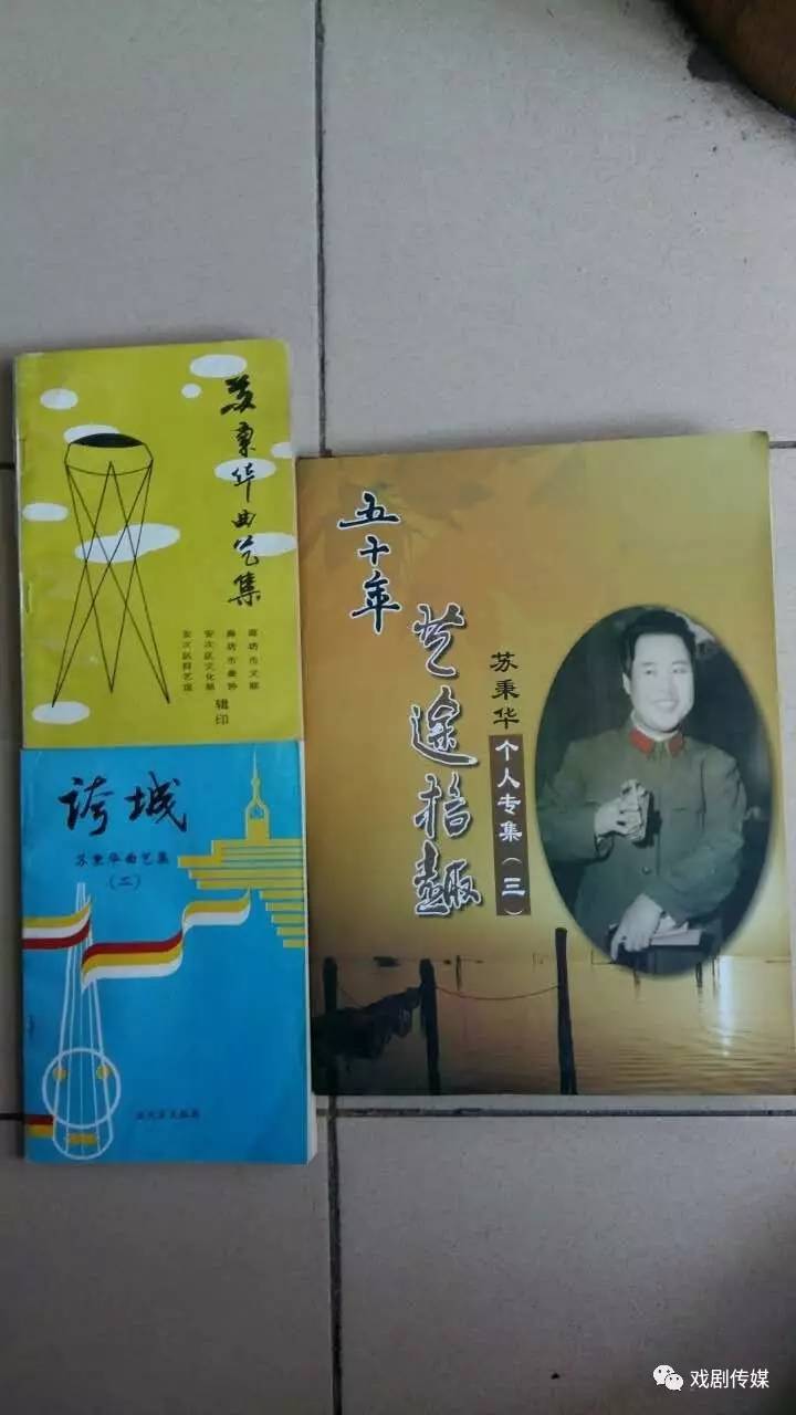 赵顺起《我与名人没有约(第五期)苏秉华的艺术人生