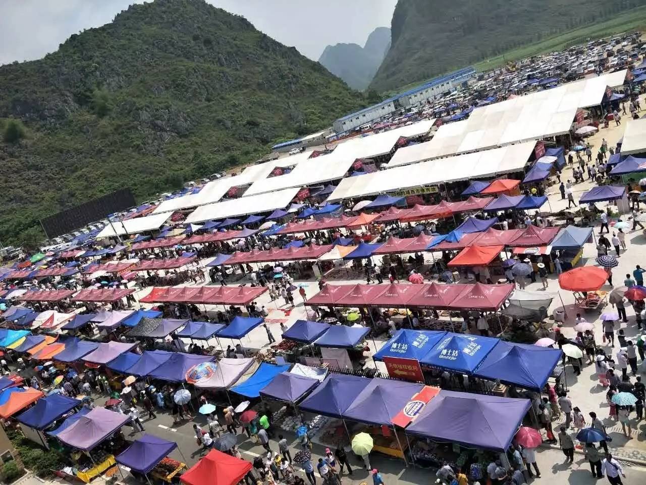 2017年中国靖西端午药市圆满落幕