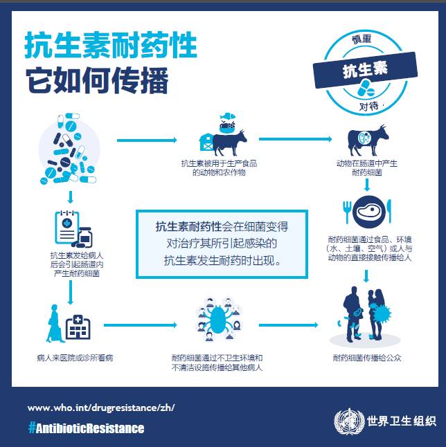 素材分享抗生素耐药信息图