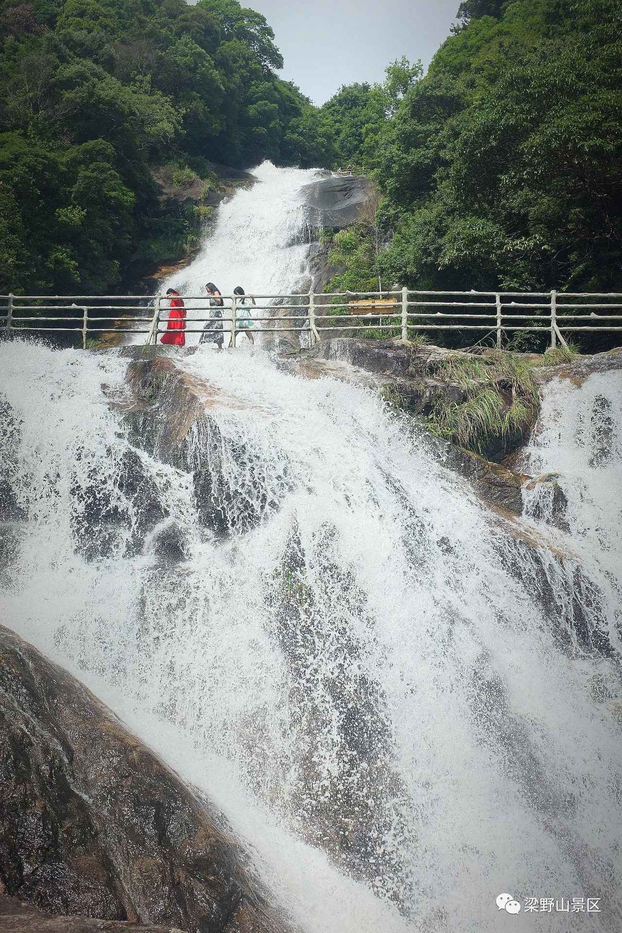 福利来了!梁野山景区每月2000张门票免费送