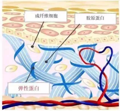 密密层层的反义词