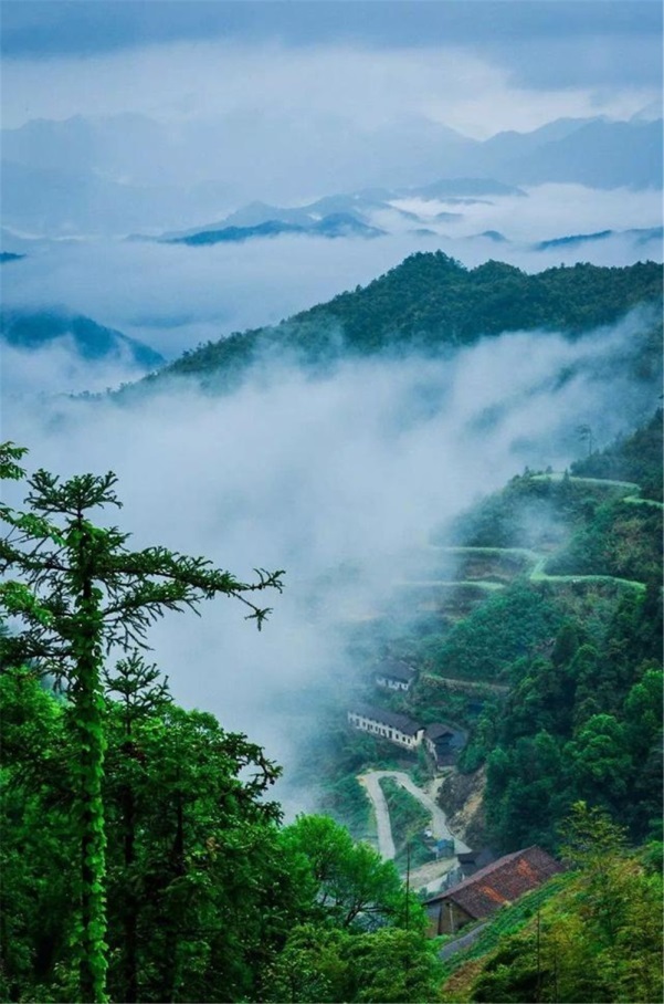 箬寮原始林景区