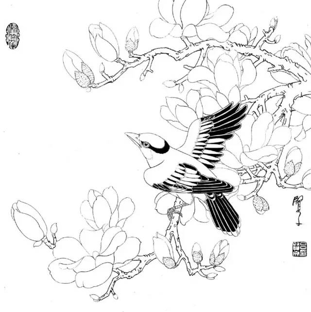 100张精美白描收藏起来慢慢画