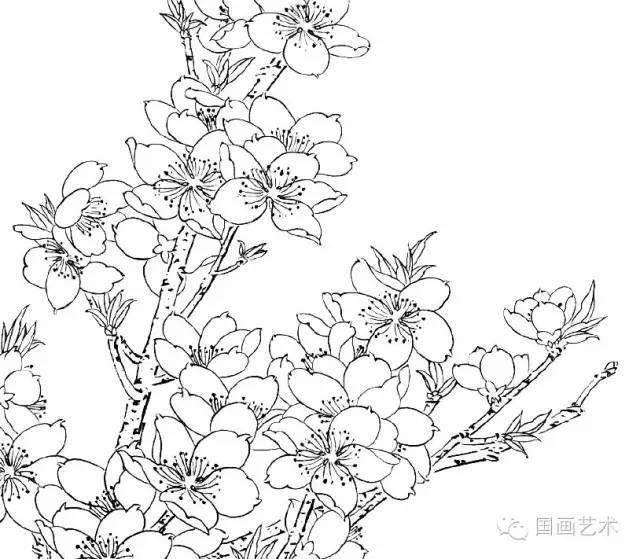 100张精美白描收藏起来慢慢画