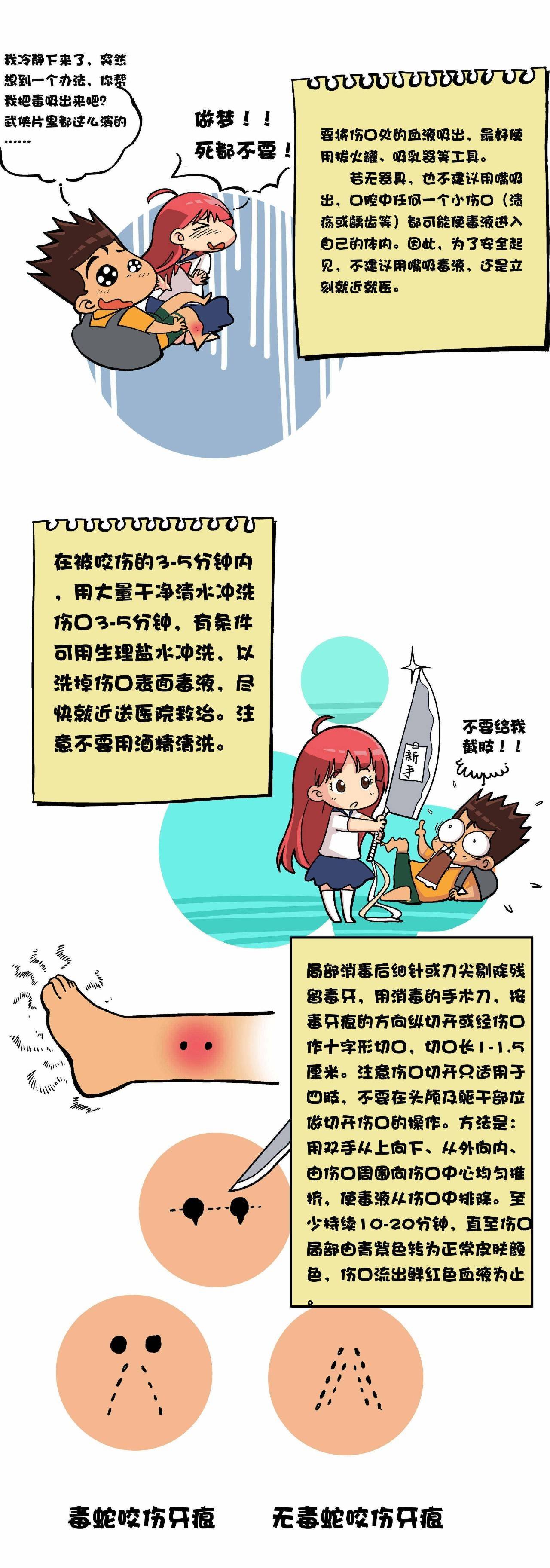 【应急知识】毒蛇咬伤自救大法(漫画版)