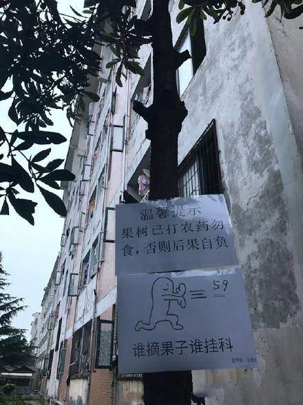 为防止果子被摘高校也是拼了 挂标语:谁摘果子谁挂科