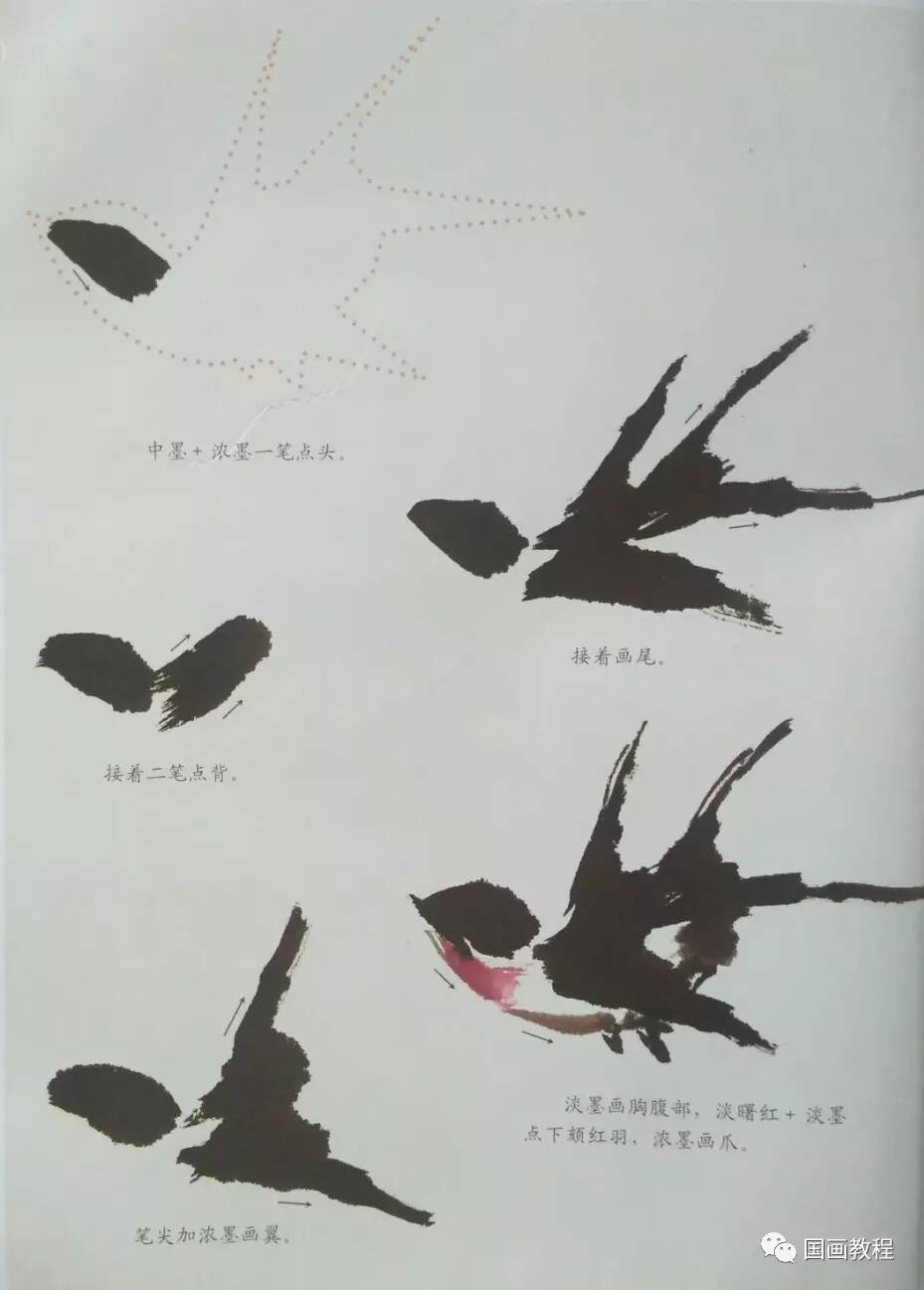 国画教程3集禽鸟的步骤画法