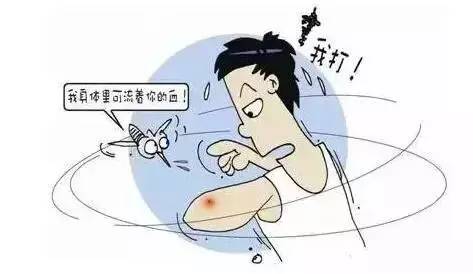 蚊子老是咬我怎么办