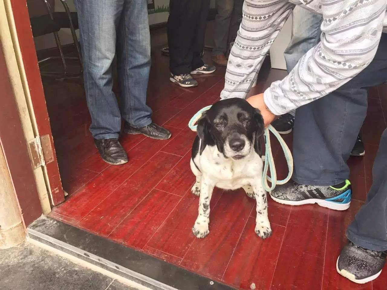 幸福上农|我们爱犬我们更是文明养犬人