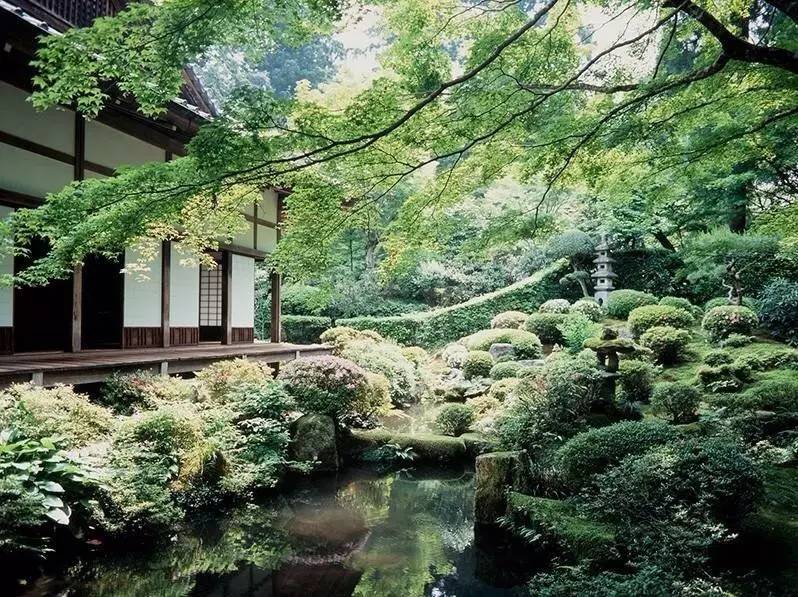 京都三千院 庭院艺术