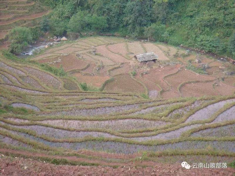 云南山歌伴奏《正版三跺脚》