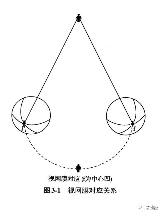 【专业】视网膜中心凹和周边视网膜成分的对应——《双眼视觉》(三)