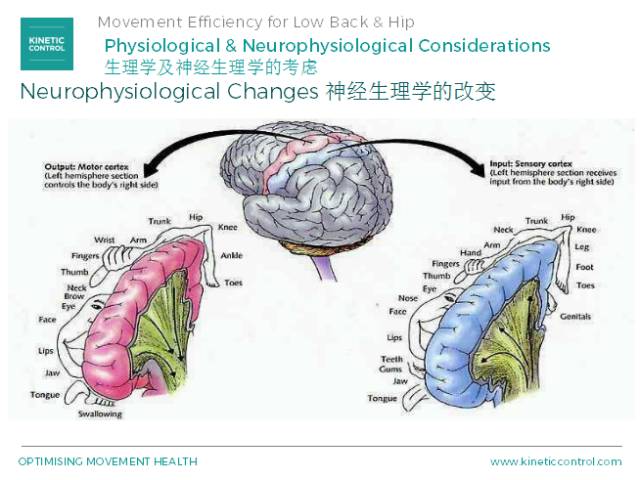 世界人口寿命排名_世界人口的平均寿命(2)